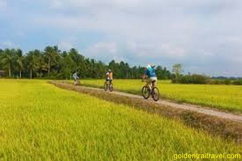Biking Trip Mekong Delta Ho Chi Minh City to Chau Doc 5 Days